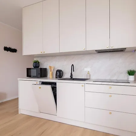 Air-conditioned Studio With Balcony 10 Minutes From Spodek Arena By Renters Katowice